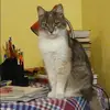 Отзыв от Эмилия Прохорова